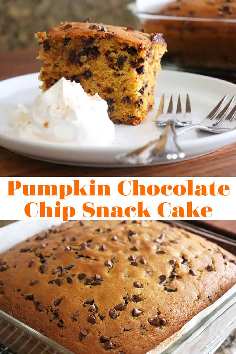 PIN for Pumpkin Chocolate Chip Snack Cake