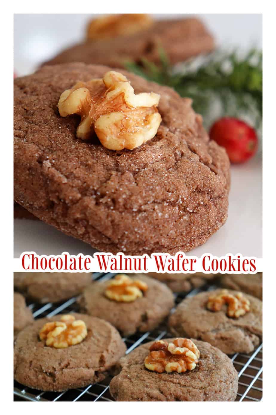 PIN for Chocolate Walnut Wafer Cookies
