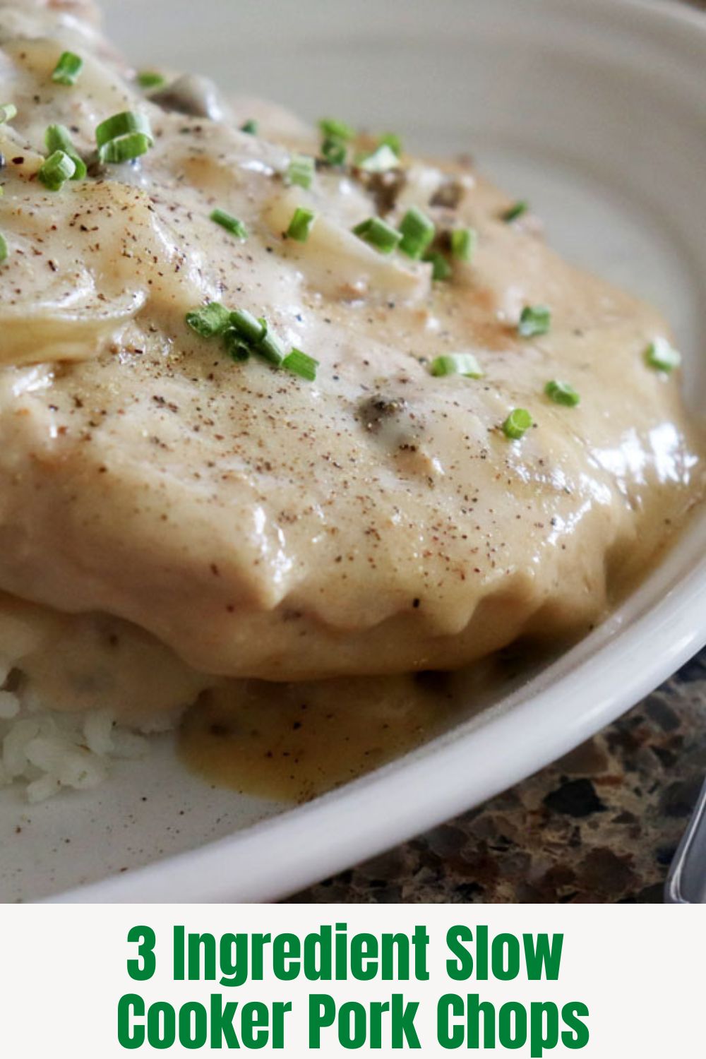PIN for Creamy Slow Cooker Pork Chops